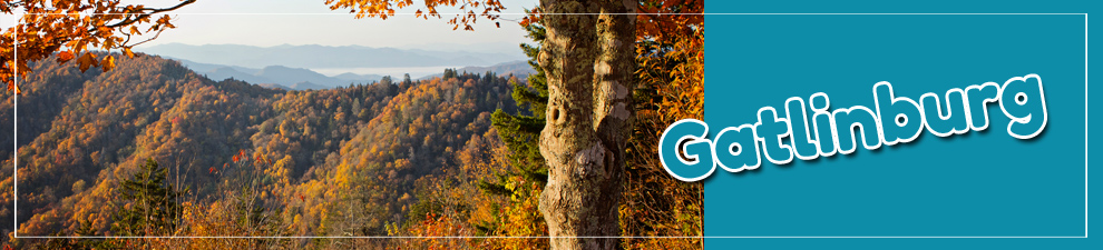 Gatlinburg Group Trips