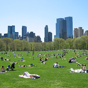People relaxing in Central Park