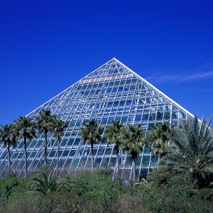 Moody Gardens Pyramid