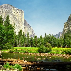 Yosemite National Park