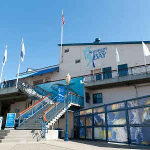 Aquarium of the Bay Entrance