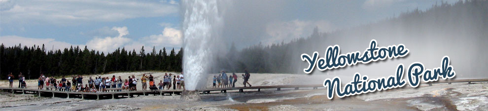 Yellowstone NP Group Tours