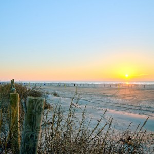 Galveston Beach